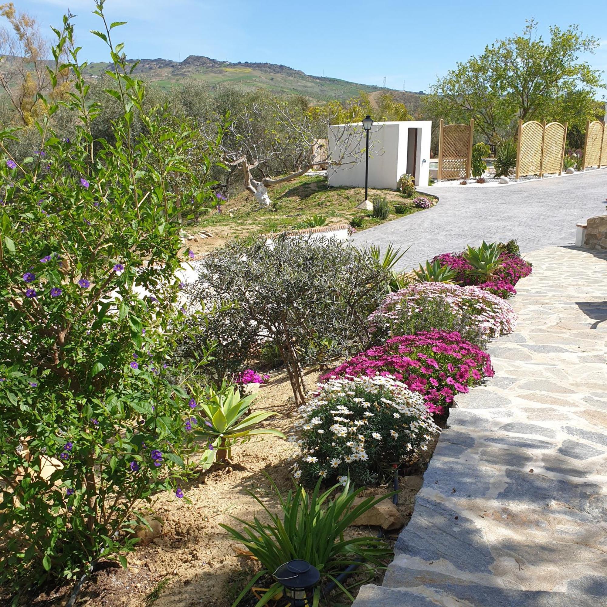 Finca Altozano - Private Pool - Unique Client Valle de Abdalagis Bagian luar foto