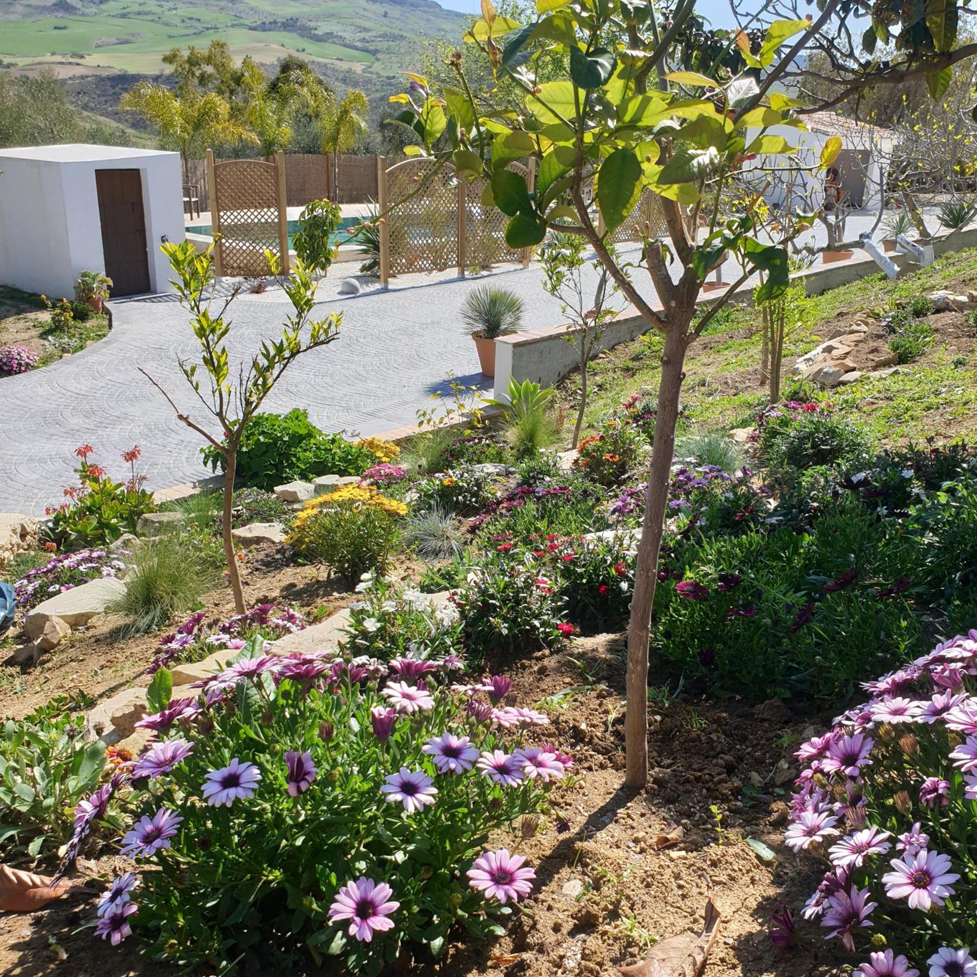 Finca Altozano - Private Pool - Unique Client Valle de Abdalagis Bagian luar foto