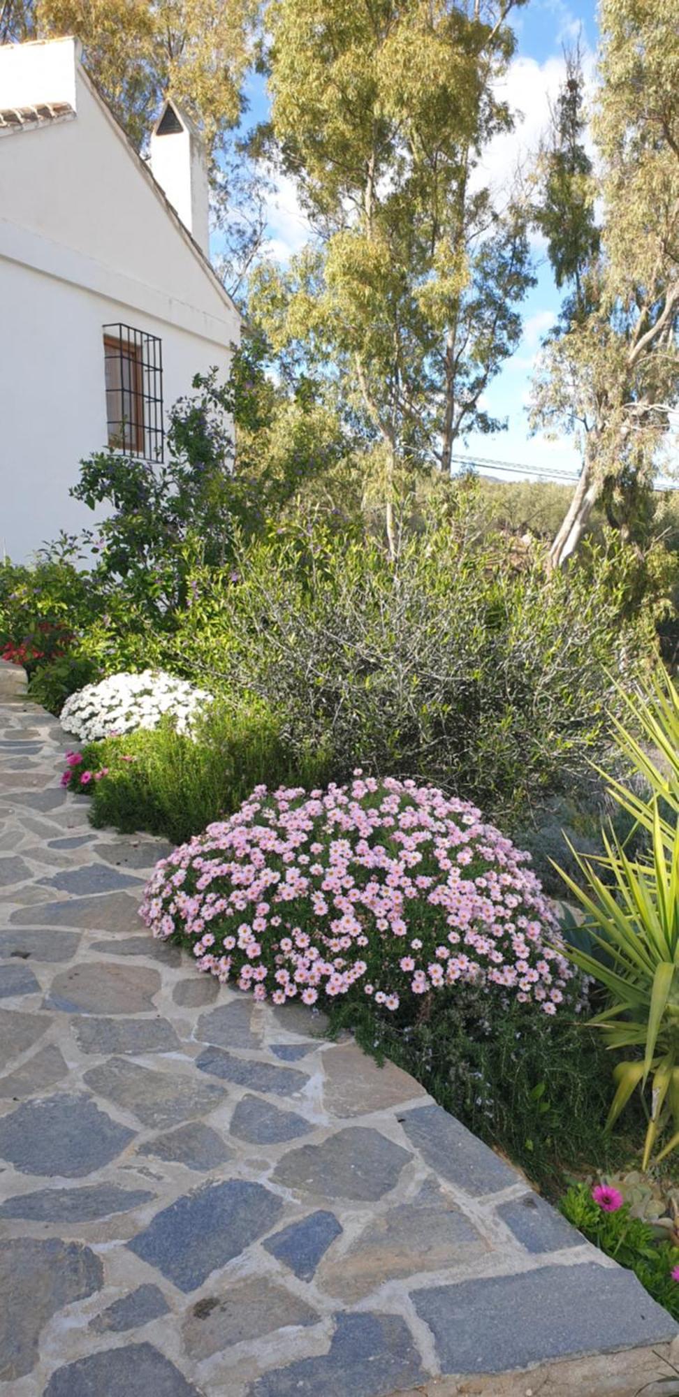 Finca Altozano - Private Pool - Unique Client Valle de Abdalagis Bagian luar foto